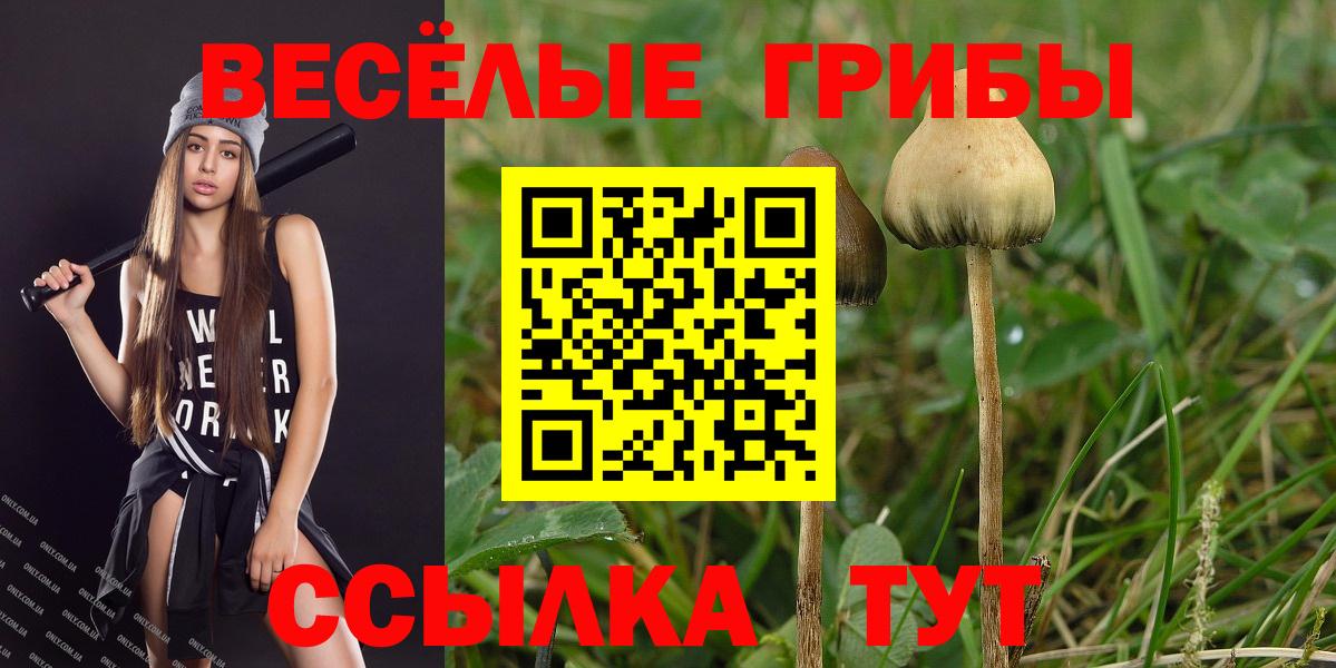 Кулебаки  Псилоцибиновые грибы MAGIC MUSHROOMS  цена   Вход с VPN 